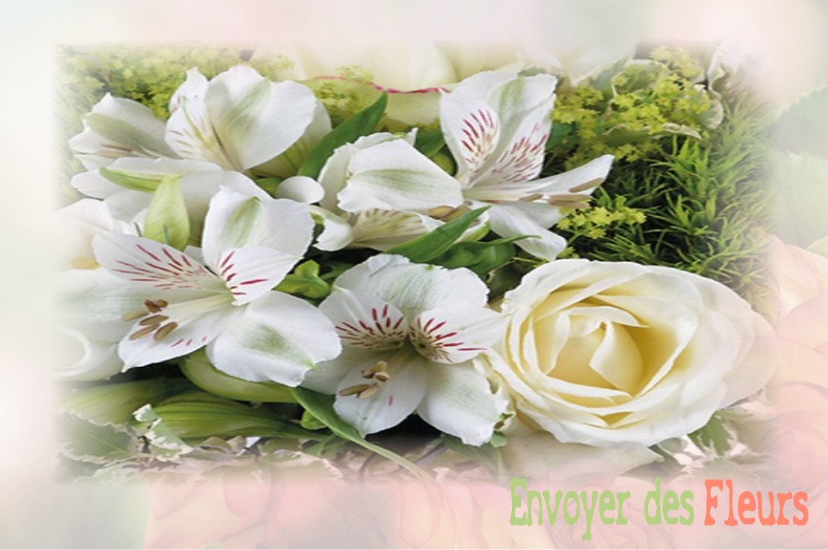 envoyer des fleurs à à SAINT-PIERRE-DE-BAILLEUL